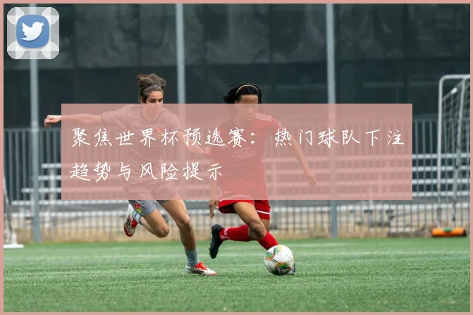 聚焦世界杯预选赛：热门球队下注趋势与风险提示