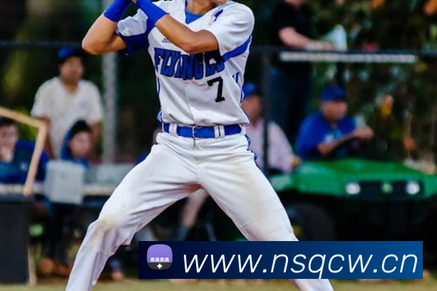 巅峰国际app注册入口官网平台生态图